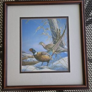 Framed Pheasant Wildlife Art James Meger